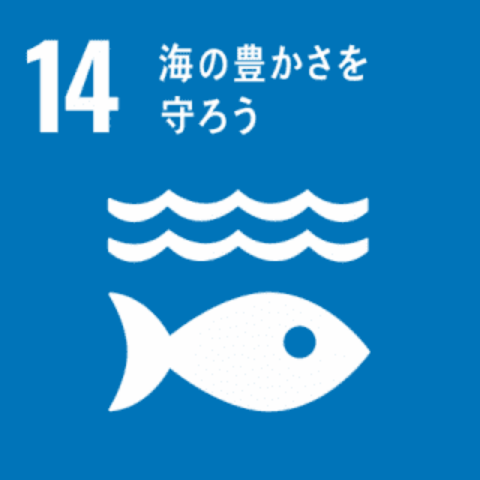 SDGs 14|海の豊かさを守ろう
