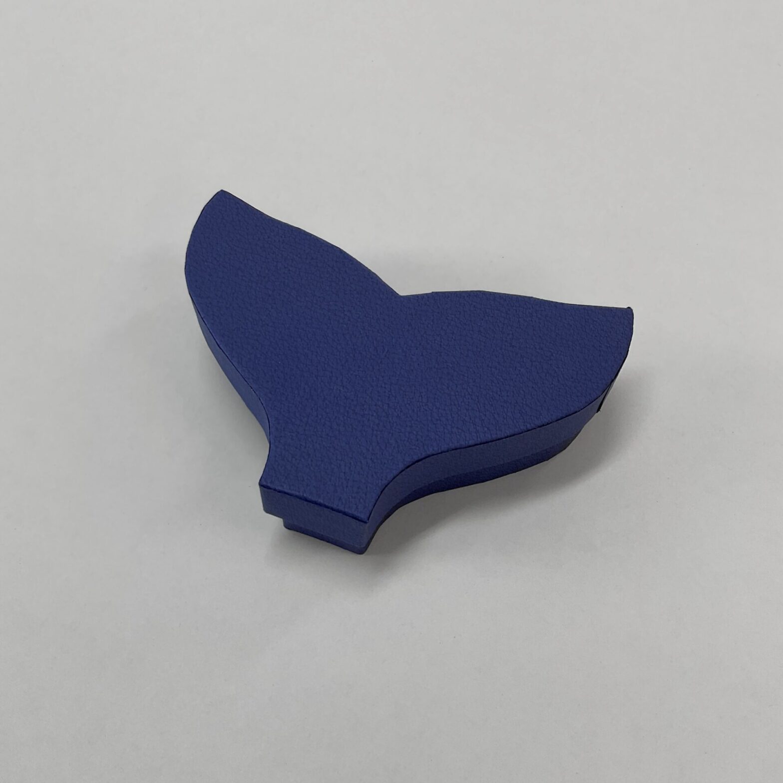 水族館のお土産用ギフトボックスとして使えるシャチの尾びれの貼り箱